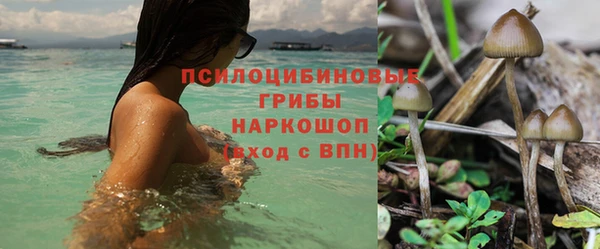 гашиш Арсеньев